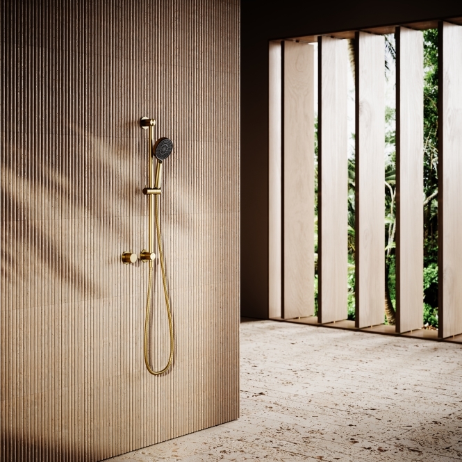 Revive Brushed Gold Shower Riser Kit with Valve